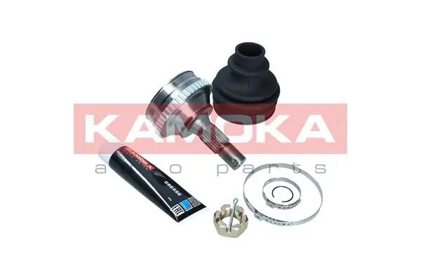 6004 Kamoka Граната зовнішня