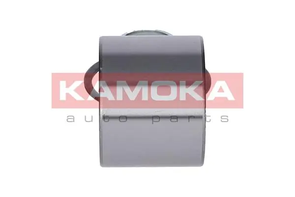 Купити 5600065 Kamoka Підшипник задньої ступиці