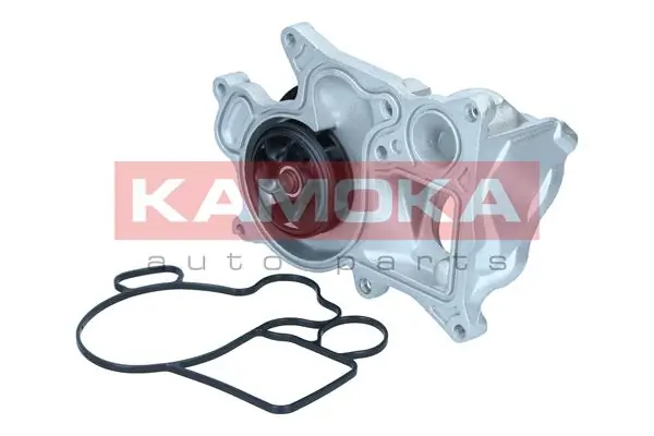 T0301 Kamoka Насос охолодження
