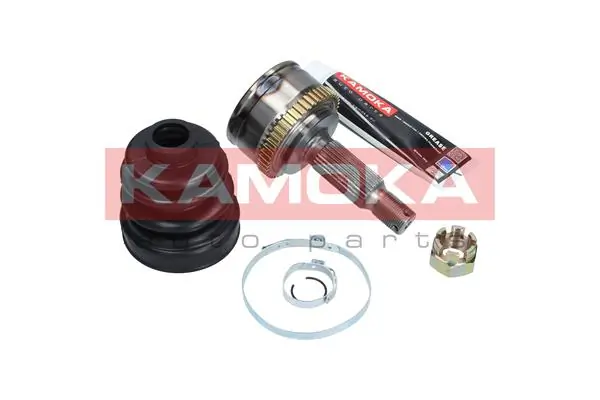 6008 Kamoka Граната зовнішня