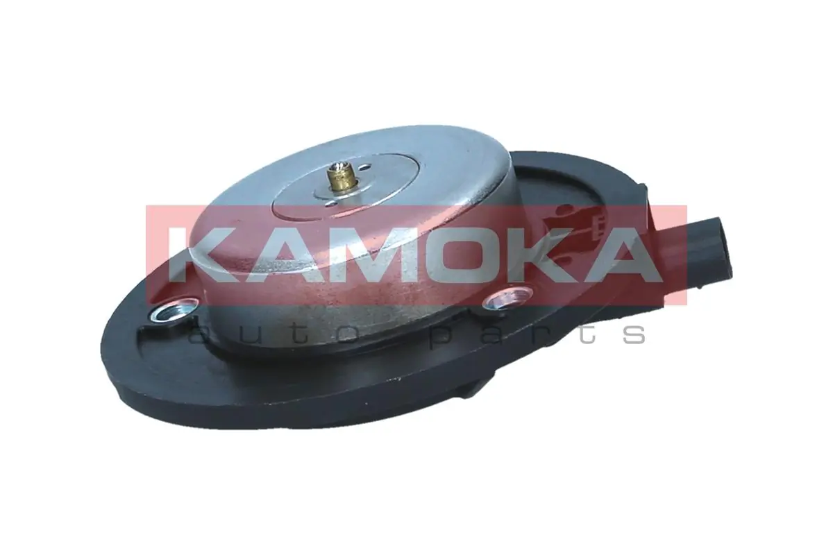Купити Клапан фазорегулятора Volkswagen Polo VI AW1, BZ1, AE1