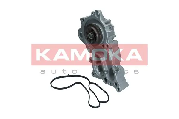 Купити Помпа Volkswagen Polo V 6R1, 6C1