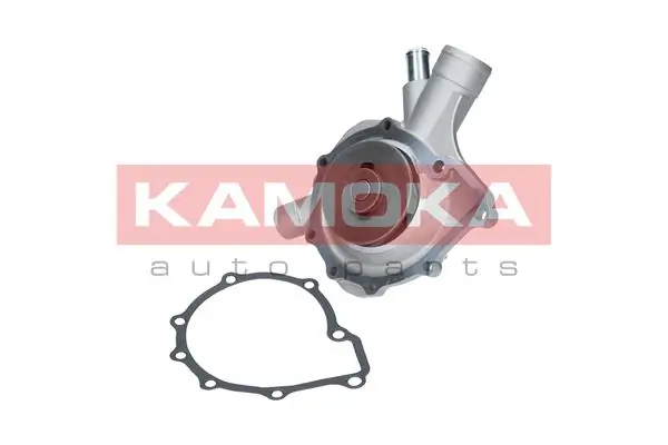 T0197 Kamoka Насос охолодження