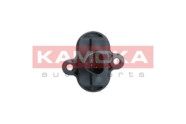ДМРВ 18021 Kamoka