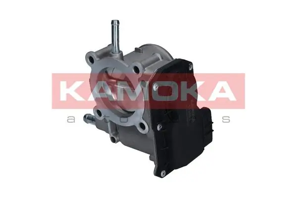 112029 Kamoka Дросільна заслінка в зборі
