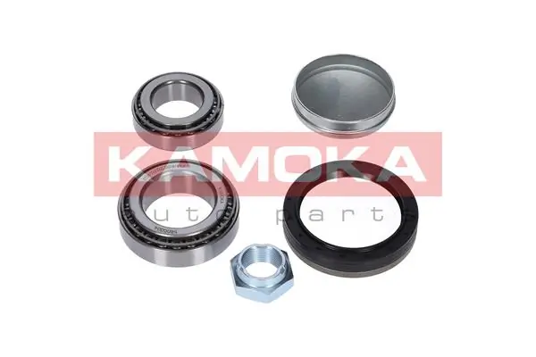 Купити 5600004 Kamoka Підшипник задньої ступиці