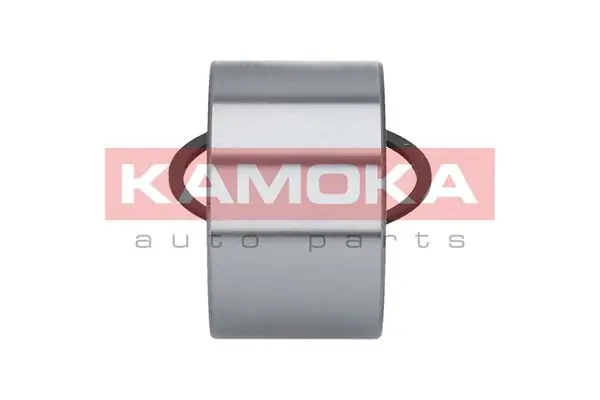 Купити 5600031 Kamoka Підшипник задньої ступиці