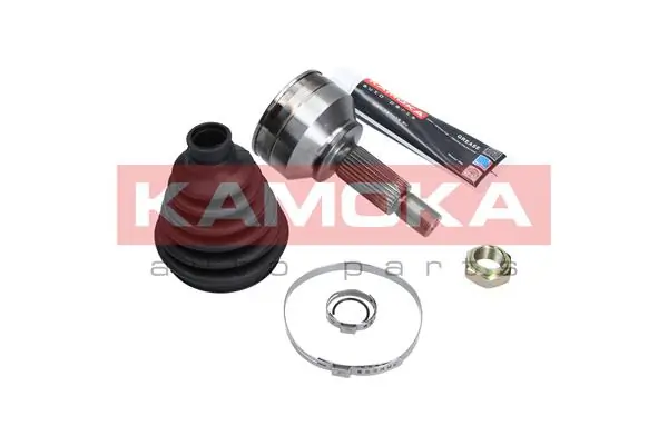 6024 Kamoka Граната зовнішня