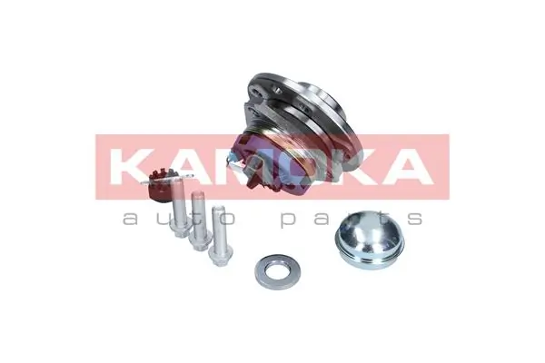 Маточина колеса передня Kamoka 5500059 ціна, від 54.30 USD