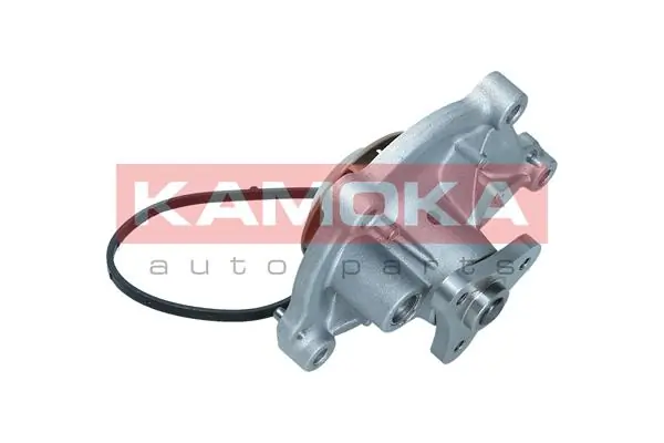 T0050 Kamoka Насос охолодження
