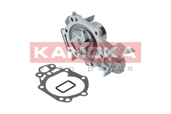 T0105 Kamoka Насос охолодження