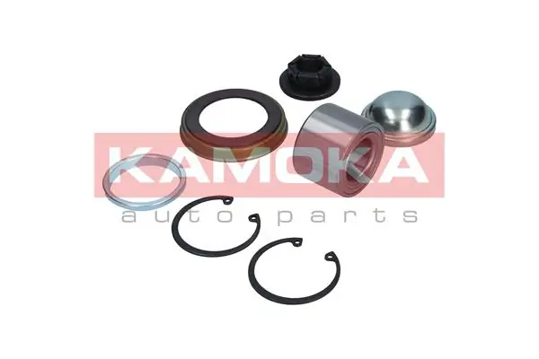 Купити 5600012 Kamoka Підшипник задньої ступиці