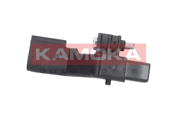 109023 Kamoka ДПКВ
