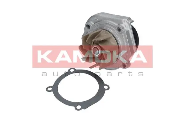 T0013 Kamoka Насос охолодження