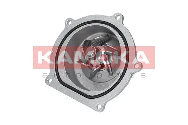 T0145 Kamoka Насос охолодження