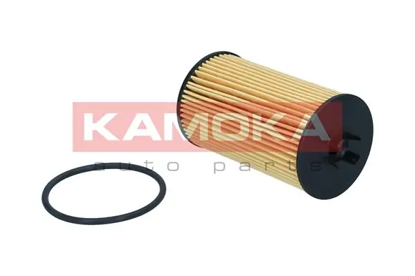 Купити 55594652 Peugeot/Citroen Фільтр очищення масла відцентровий