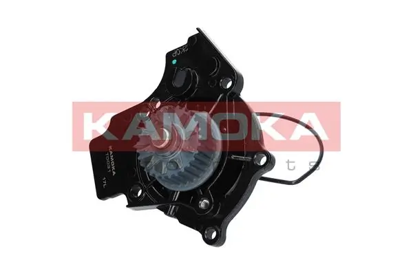 Купити T0031 Kamoka Помпа водяна (насос) охолодження, в зборі з корпусом