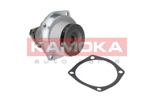 Помпа RM7010 Goodrem
