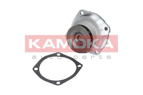 RM7010 Goodrem Насос охолодження