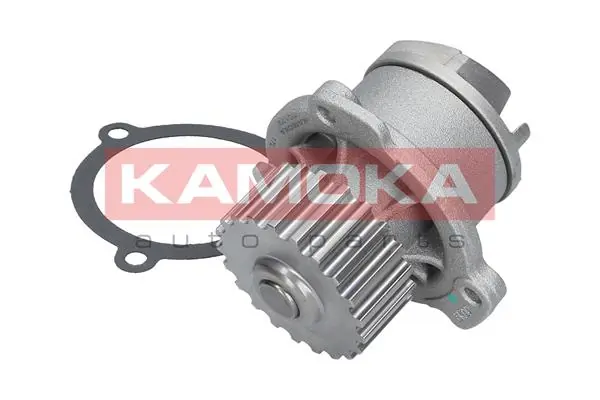 WP350002 ASR Насос охолодження