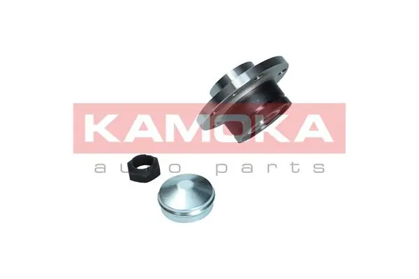 5500169 Kamoka Маточина задня