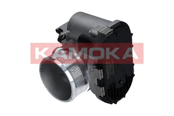 112001 Kamoka Дросільна заслінка в зборі