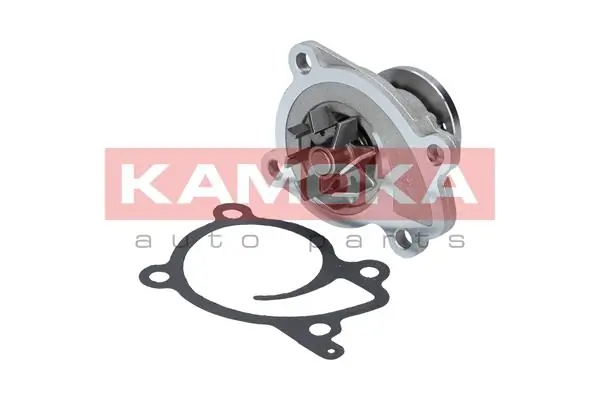 T0215 Kamoka Насос охолодження