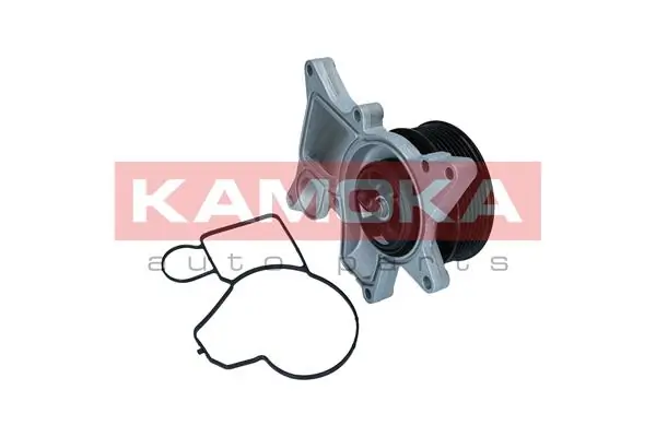 T0298 Kamoka Насос охолодження
