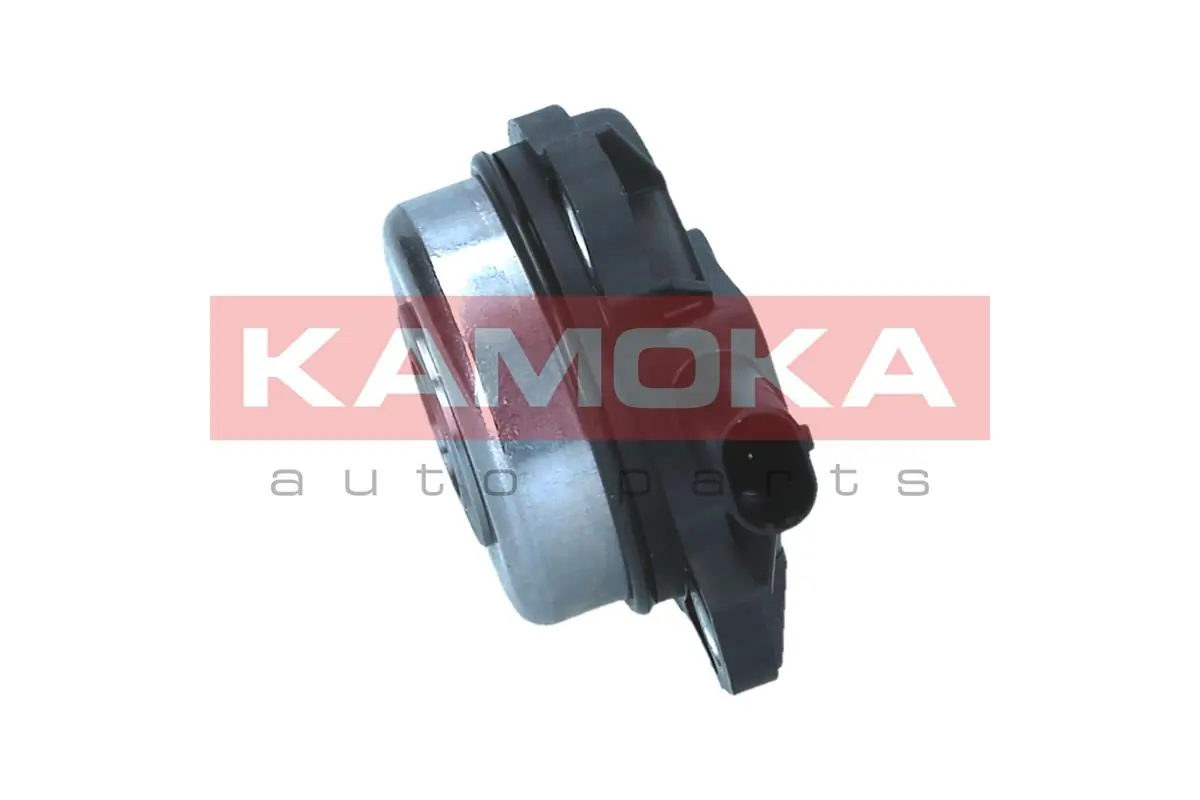 Регулятор фаз газорозподілу Borg-Warner 5885440 ціна, від 31.55 USD