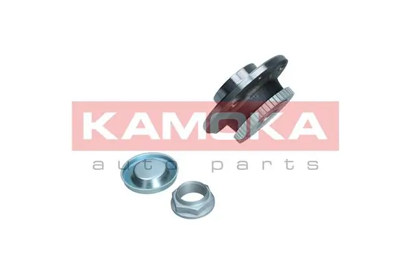 5500043 Kamoka Маточина задня