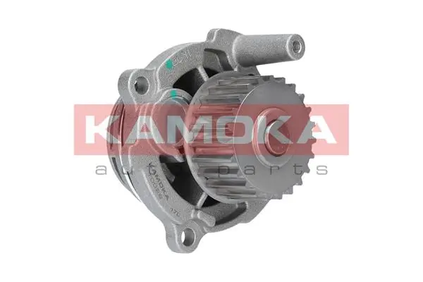 T0029 Kamoka Насос охолодження