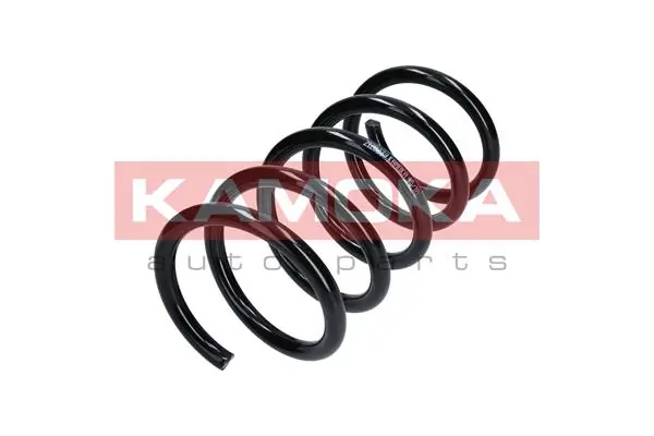 Купити ST615825 Polcar Задні пружини