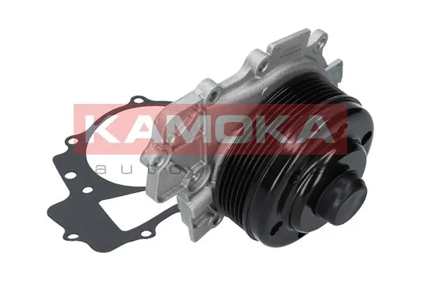 T0203 Kamoka Насос охолодження
