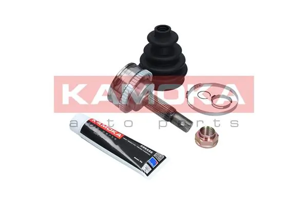 7055 Kamoka Граната зовнішня