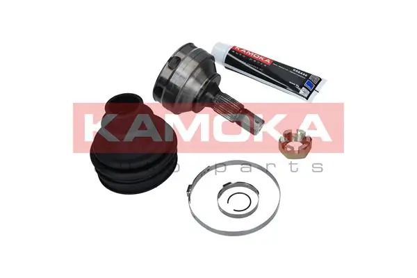 6016 Kamoka Граната зовнішня
