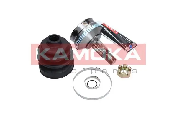 6574 Kamoka Граната зовнішня