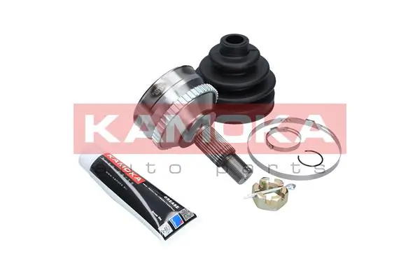 6576 Kamoka Граната зовнішня