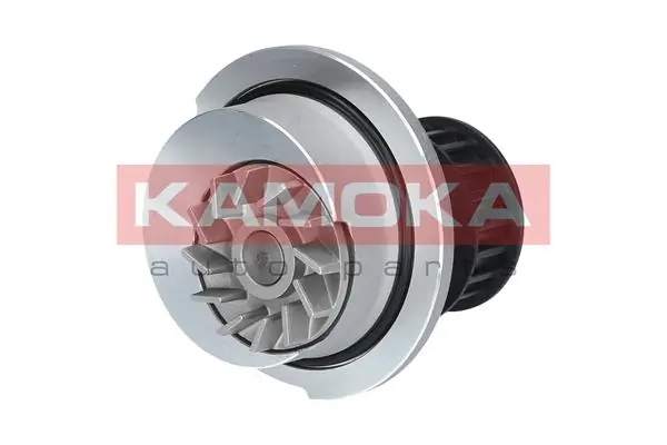 T0108 Kamoka Насос охолодження