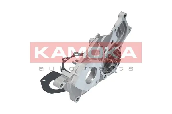 T0264 Kamoka Насос охолодження
