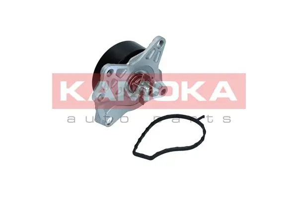 T0088 Kamoka Насос охолодження