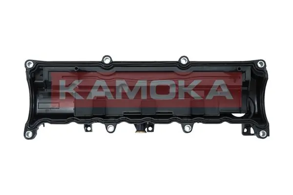 Кришка двигуна на Renault Kangoo II FW0