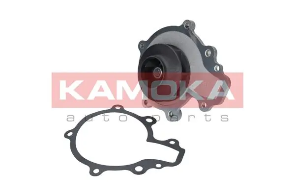 T0068 Kamoka Насос охолодження