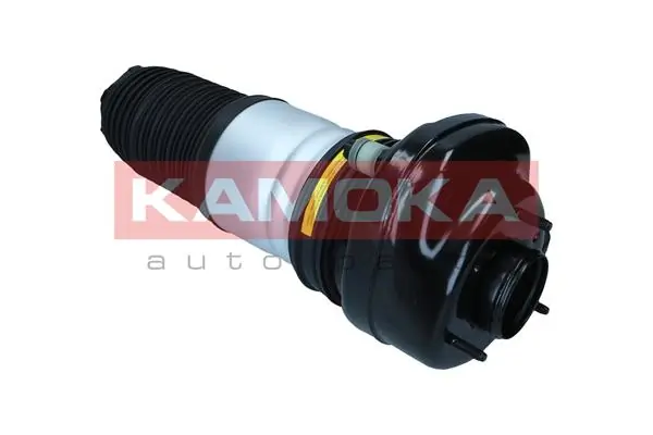 Амортизатор задній, лівий Kamoka 2079070 ціна, від 438.16 USD