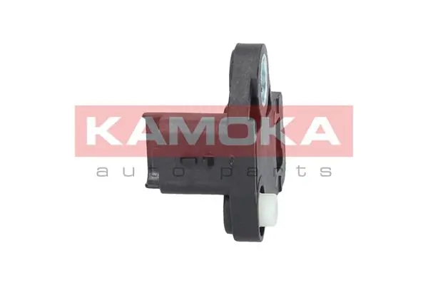 109021 Kamoka ДПКВ