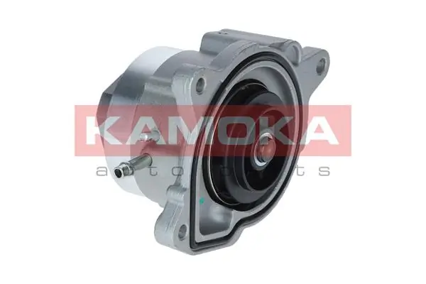 T0019 Kamoka Насос охолодження