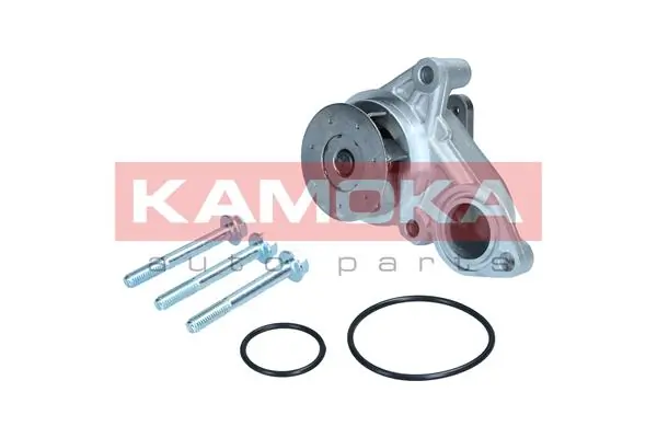 T0322 Kamoka Насос охолодження