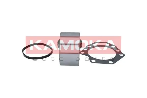 Купити 5600040 Kamoka Підшипник задньої ступиці