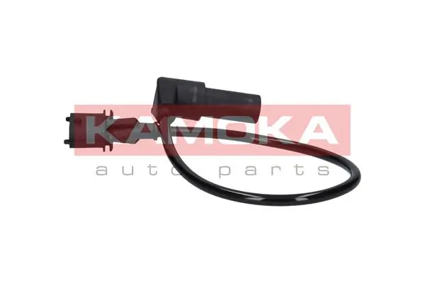 109028 Kamoka ДПКВ
