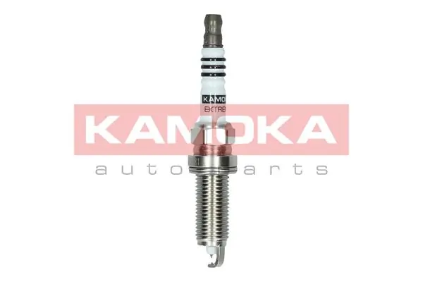 Свічки автомобільні Renault (RVI) 224015RF1B ціна, від 15.78 USD