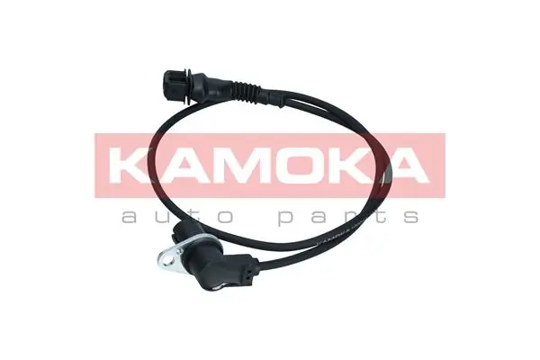 109017 Kamoka ДПКВ